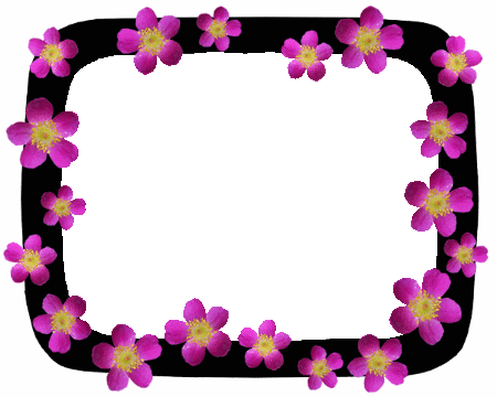One of 5 gifs of frames that act as borders for the webpage and layer on top of each other, shuffling when you scroll. This one has as its background a black curved thick line, something like what a child would draw. On top of that are about twenty images iterations of one flower, moving in various sizes and positions. The flower has 5 petals, darker pink on the edges, and a yellow center with little stems coming out of it. The petals are far apart from one another.